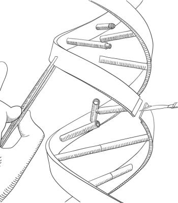 いまさら聞けない「ゲノム編集ってなんですか？」(現代ビジネス)