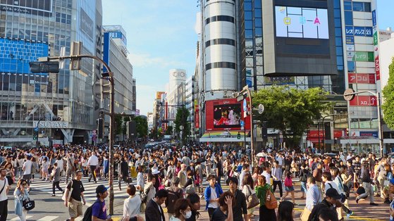 韓国からの観光客増加を示すグラフ