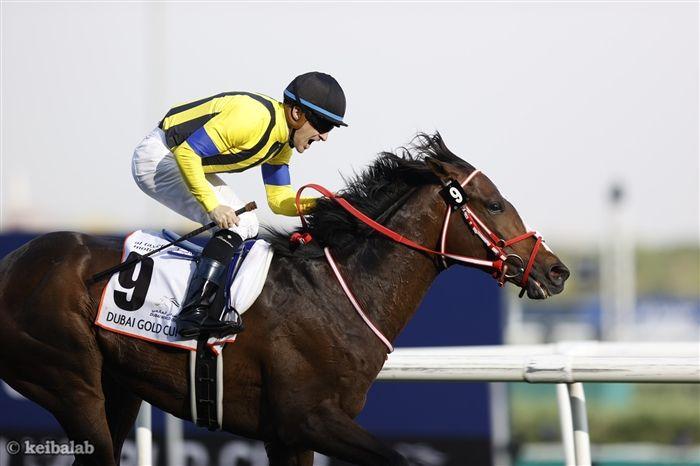 最終週の中山と中京に良血馬が集う！【今週デビュー予定の3歳馬