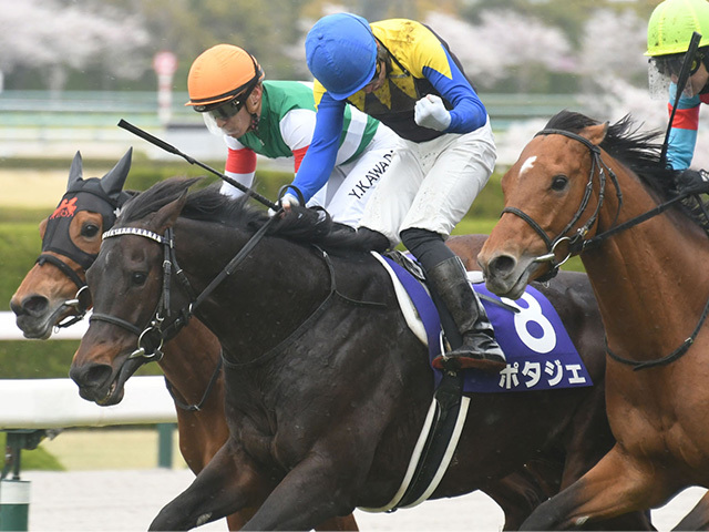 AJCCでGI馬が約1年10カ月ぶり復帰 史上最長「中664日」で重賞