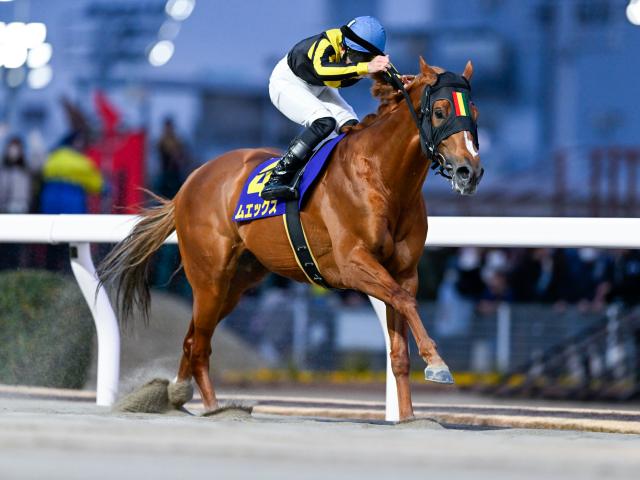 船橋・報知グランプリC枠順】川崎マイラーズを完勝した