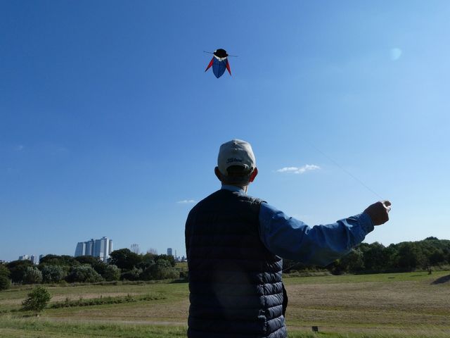 400年続いてきた名古屋古流凧が存続の危機 技術者が高齢化 400年続いてきた名古屋古流凧が存続の危機 技術者が高齢化