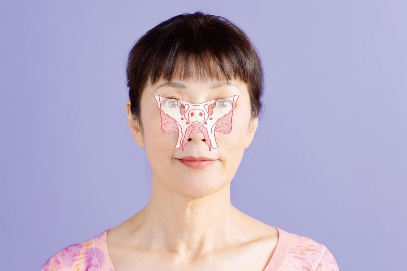 顔の歪みは鼻腔の後ろにある蝶形骨（ちょうけいこつ）の歪みが