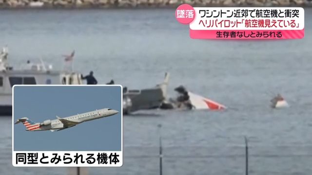 墜落した航空機の尾翼