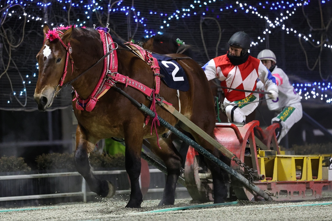 【ばんえい・翔雲賞】スターイチバンが重賞初制覇…西「今後の成長が楽しみ」（競馬のおはなし） - Yahoo!ニュース