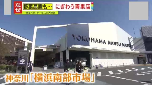 注目】農家を救う!?“ある特徴”を持つ『〇〇野菜』が登場！ 天候