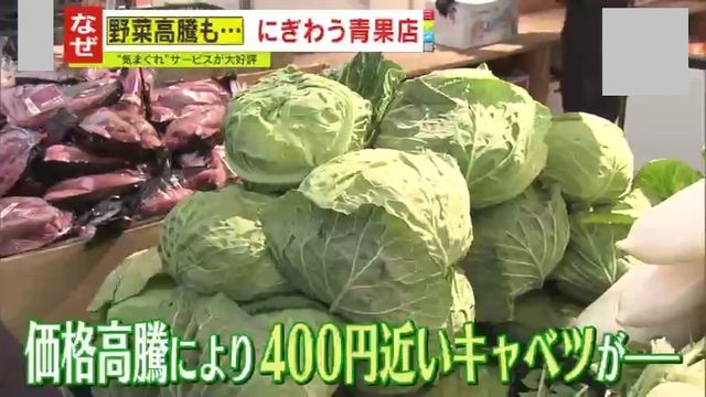 注目】農家を救う!?“ある特徴”を持つ『〇〇野菜』が登場！ 天候