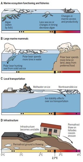 地球温暖化の北極圏への脅威