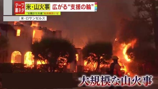 ロサンゼルスの山火事被害