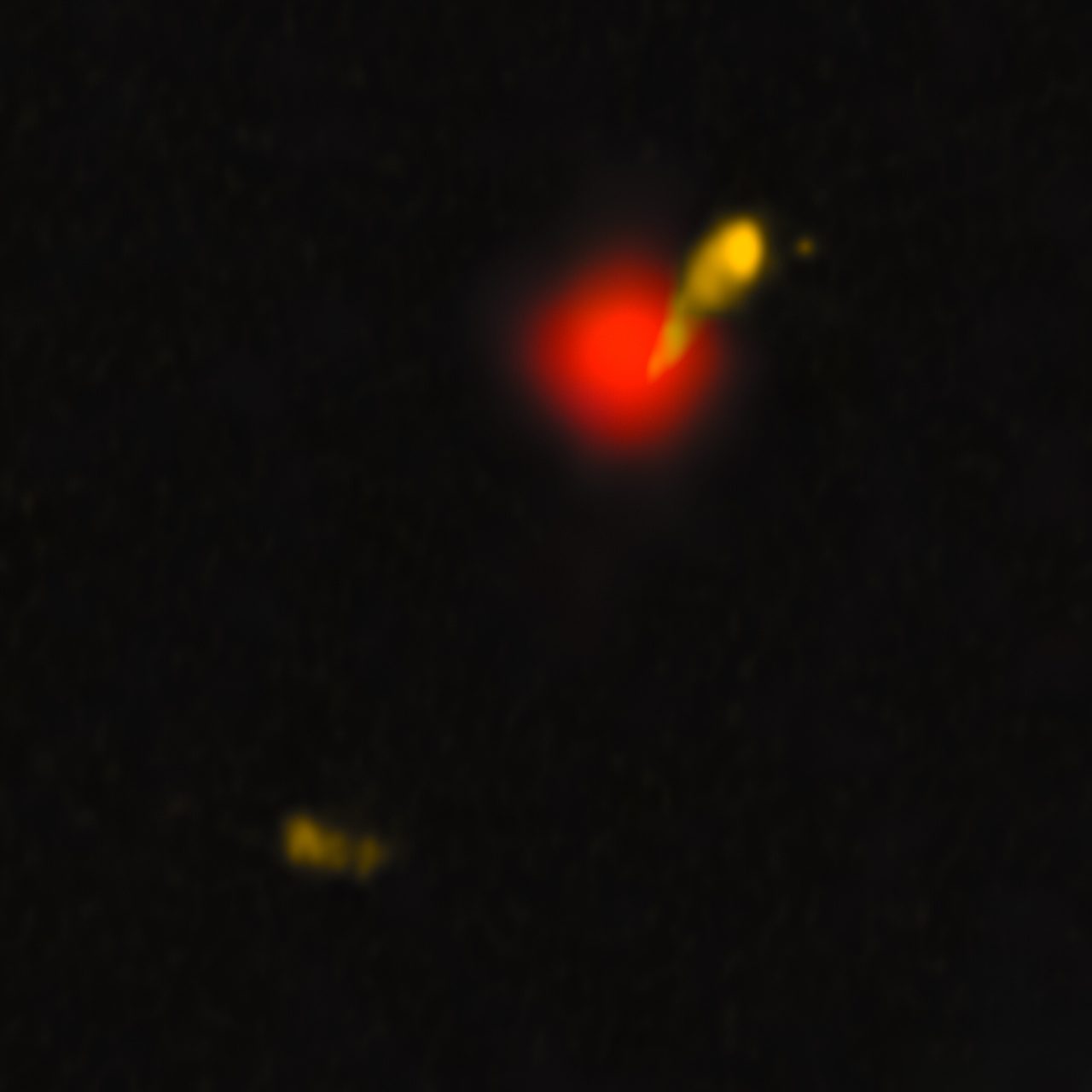 宇宙のスカラー的構造―“見えない世界”を観る科学の構想 | 実藤遠