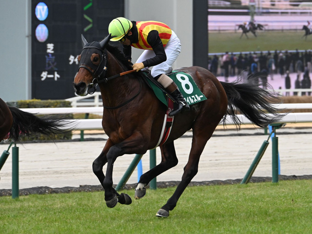 小倉JS結果】スマイルスルーが逃げ切り4連勝&重賞連勝 小倉JS結果】スマイルスルーが逃げ切り4連勝&重賞連勝