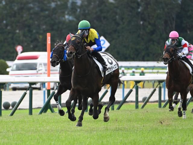 レイデオロ 新馬戦から2018有馬記念まで国内全11戦現地単勝馬券