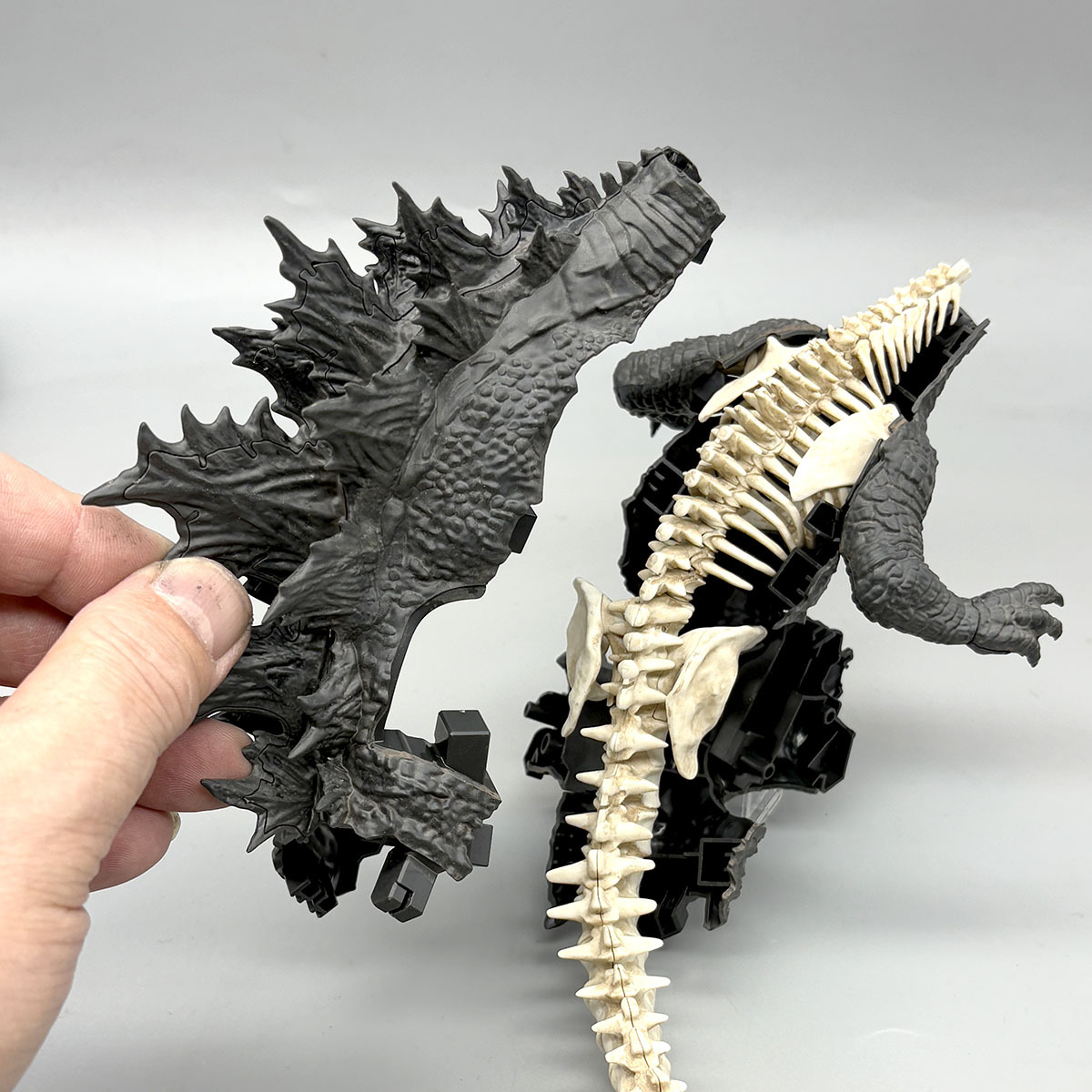 ゴジラxコング 新たなる帝国』より、骨格から組み上げるゴジラの