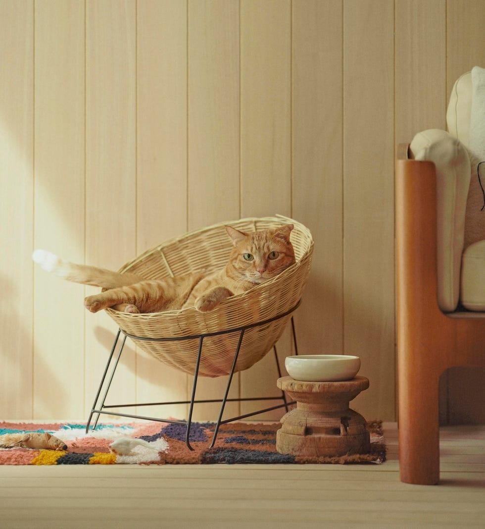 これ猫用なの？愛猫が主役になる、美しすぎる猫グッズ5選【2/22