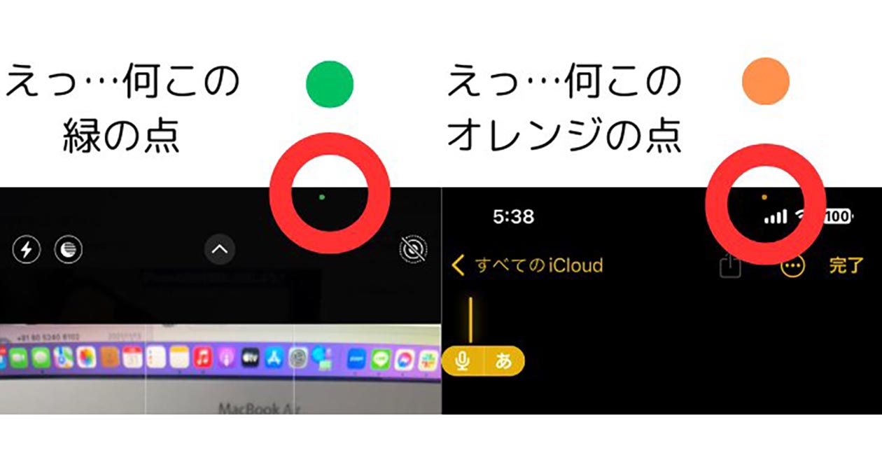 20250219 00010002 otonalife 000 1 view