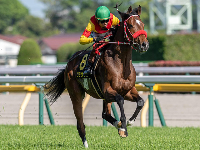 前走初ダートで快勝 リアルスティール＆ラヴズオンリーユーの半