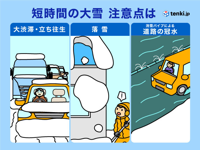 楽天市場】あす楽【送料無料】スノーダンプ 雪のけ太郎 赤 除雪