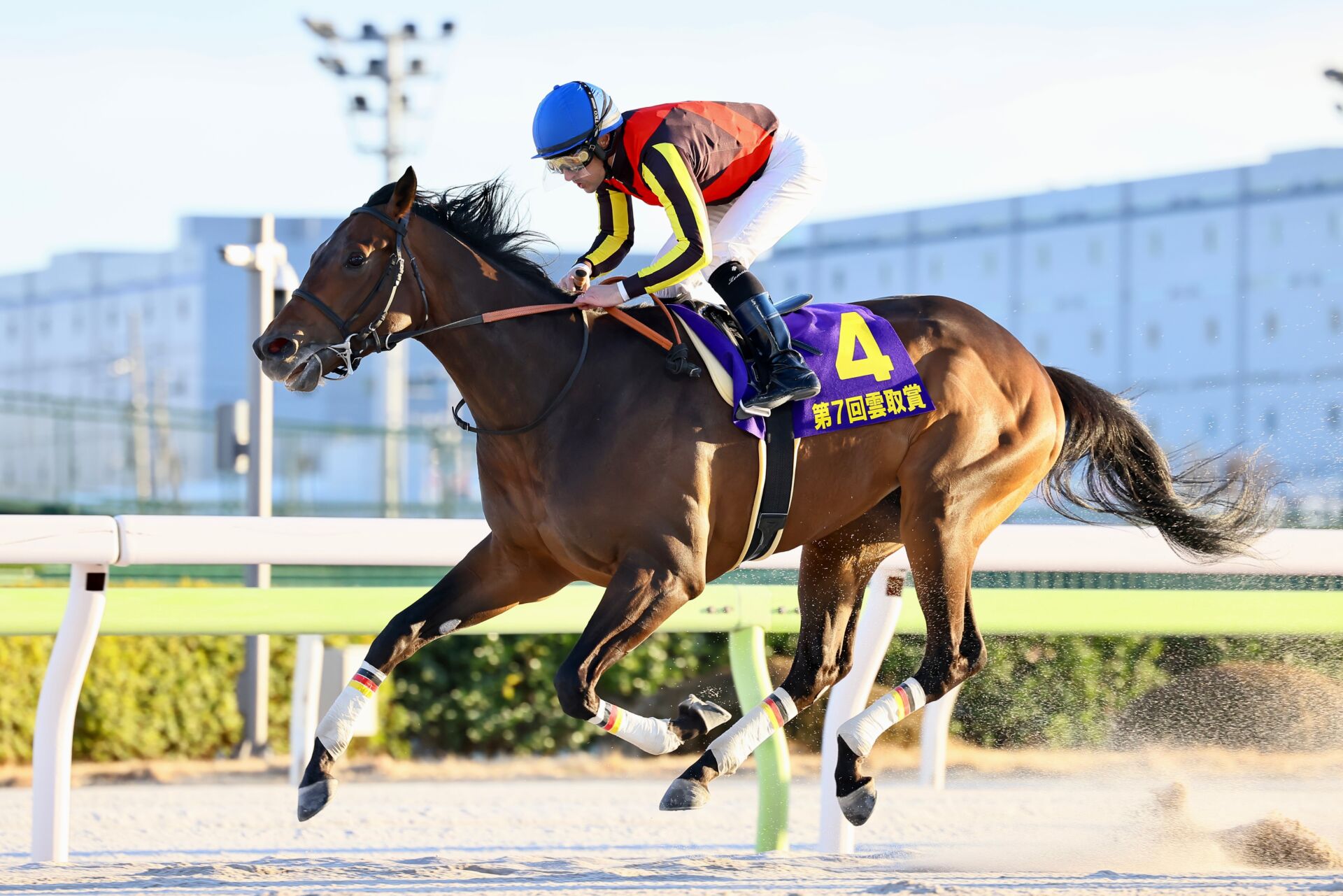 アメリカ三冠競走にJRA所属馬が予備登録（競馬のおはなし