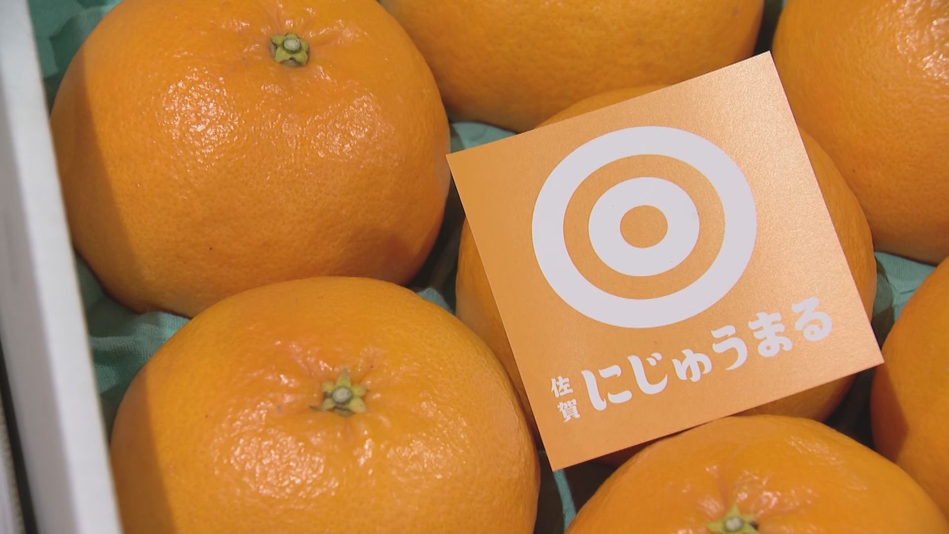 プチっとした食感”と”たっぷり果汁”が特徴 ブランドかんきつ「に