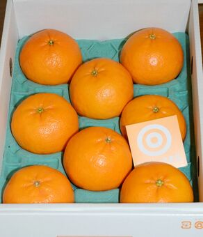高質で安価 佐賀県産ブランドかんきつ「にじゅうまる」1箱50万円 5年目初 果物