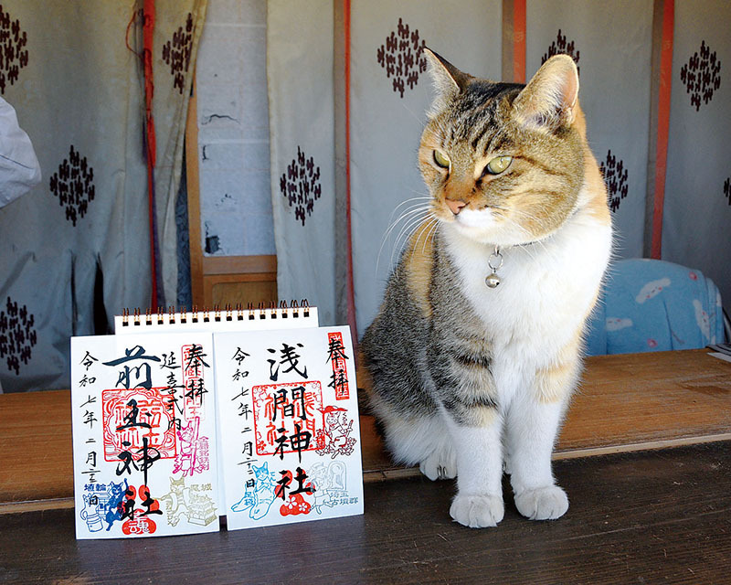 202502-sakitama-jinja.jpg