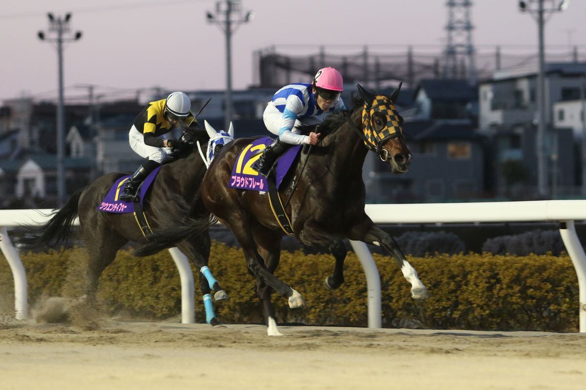 【ユングフラウ賞】プラウドフレールが押し切り重賞連勝（サンケイスポーツ） - Yahoo!ニュース