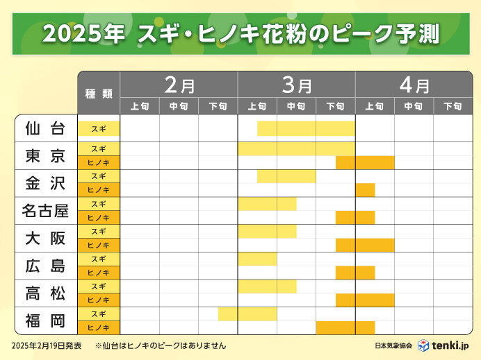 杉の花粉 ④ 楽天市場】【メーカー直送】レギュラー500mlタイプスギ花粉 花粉