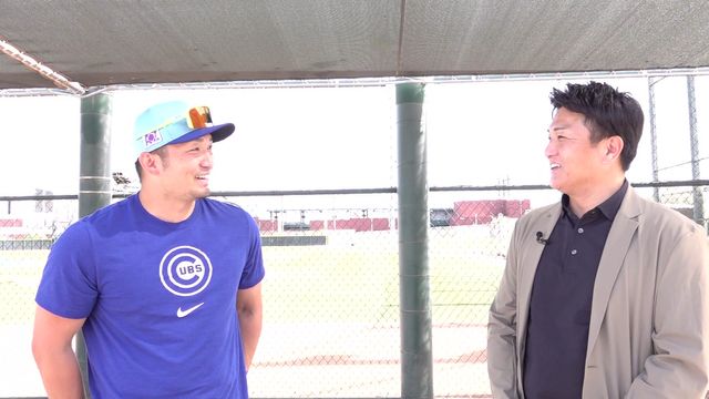 ユニクロMLB トートバッグ 大小2語セット 吉田正尚 カブス鈴木