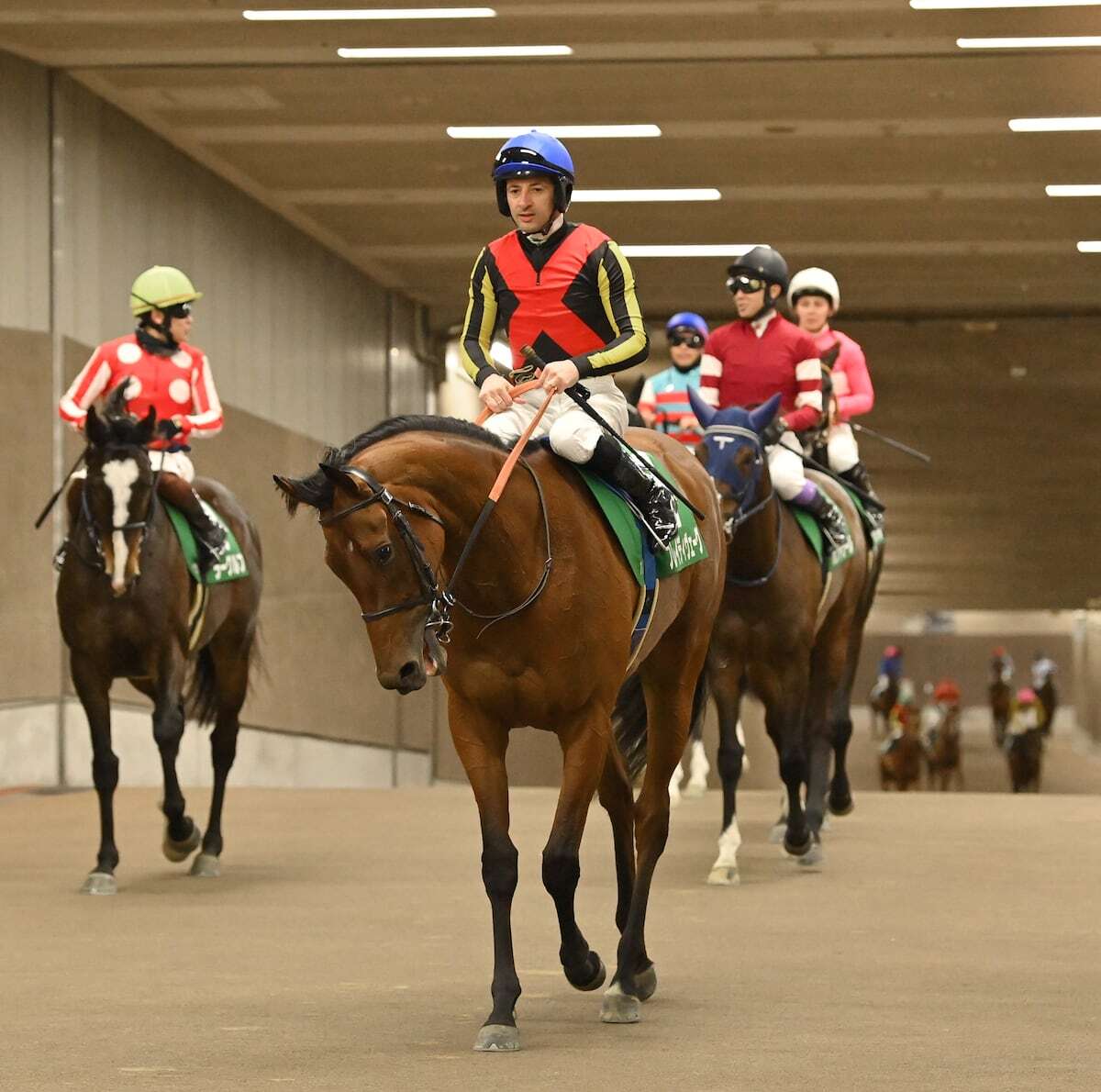 東京新聞杯4着ブレイディヴェーグは予定通りドバイターフを目指す（サンケイスポーツ） - Yahoo!ニュース