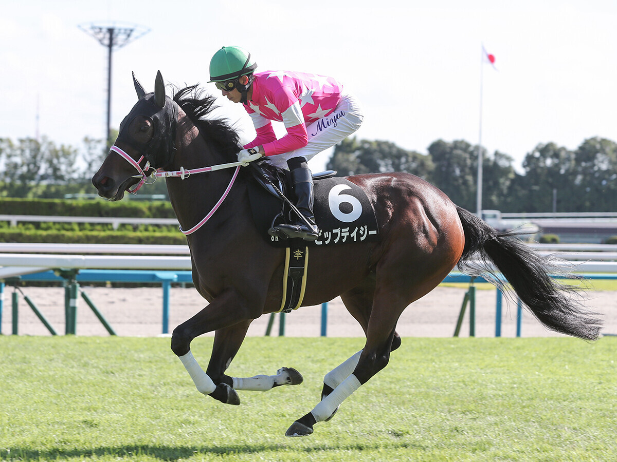 ビワハイジ AVANTI ぬいぐるみ 阪神3歳児牝馬S sサイズ 約30 20