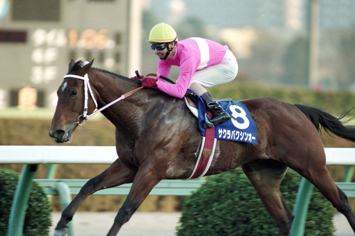 ダイタクヤマト 00年 スプリンターズS 16番人気 的中単勝馬券　全頭セット ダイタクヤマト 00年 スプリンターズS 16番人気 的中単勝馬券 全