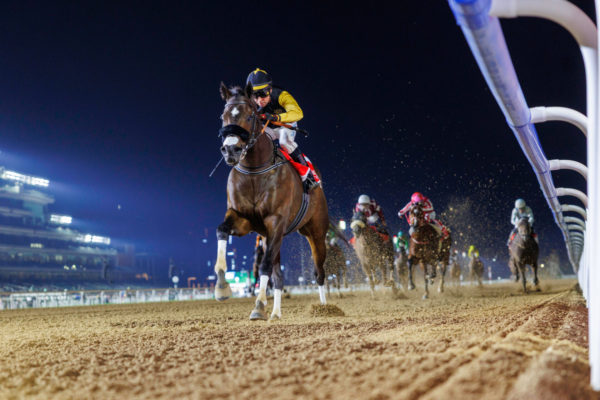 【ドバイ・マハブアルシマール】アメリカンステージが2着に好走…勝利したのはタズ（競馬のおはなし） - Yahoo!ニュース