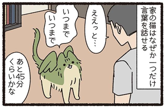 青年と猫