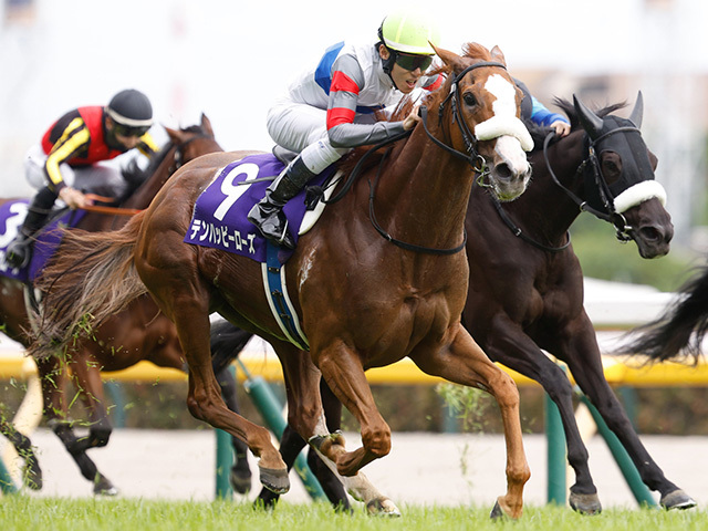 ヴィクトリアマイル テンハッピーローズ 馬券コピー - メルカリ