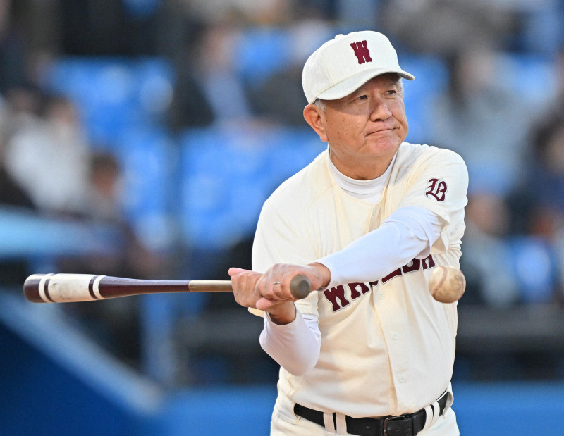 祝センバツ出場 早稲田実業 グラコン 実使用 高校野球 本物