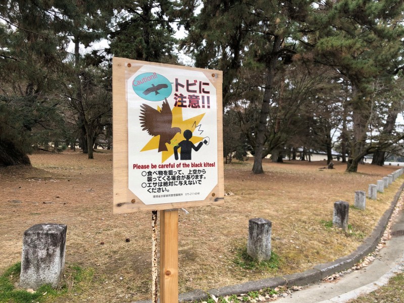 京都御苑で「トビに注意」　管理事務所が看板設置　食べ物狙い急降下（毎日新聞） - Yahoo!ニュース