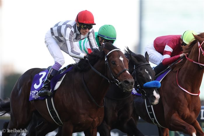 2歳新馬/アルトゥーム】メイクデビュー中京［2023.12.3 中京第5R
