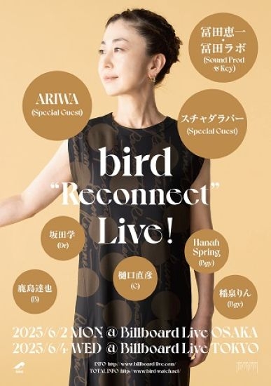 超特価激安 bird、最新アルバム『Reconnect』発売 リリース・ライヴに冨田 スイーツ・ガム