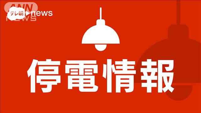 東京と神奈川の停電が復旧　カラスの巣作りのための材料が誤って電線に触れる