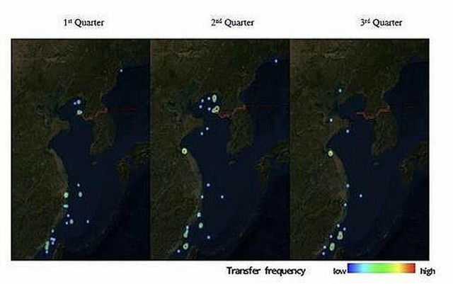 北朝鮮貨物船と中国船舶が衝突 死者多数も違反発覚恐れて隠蔽か