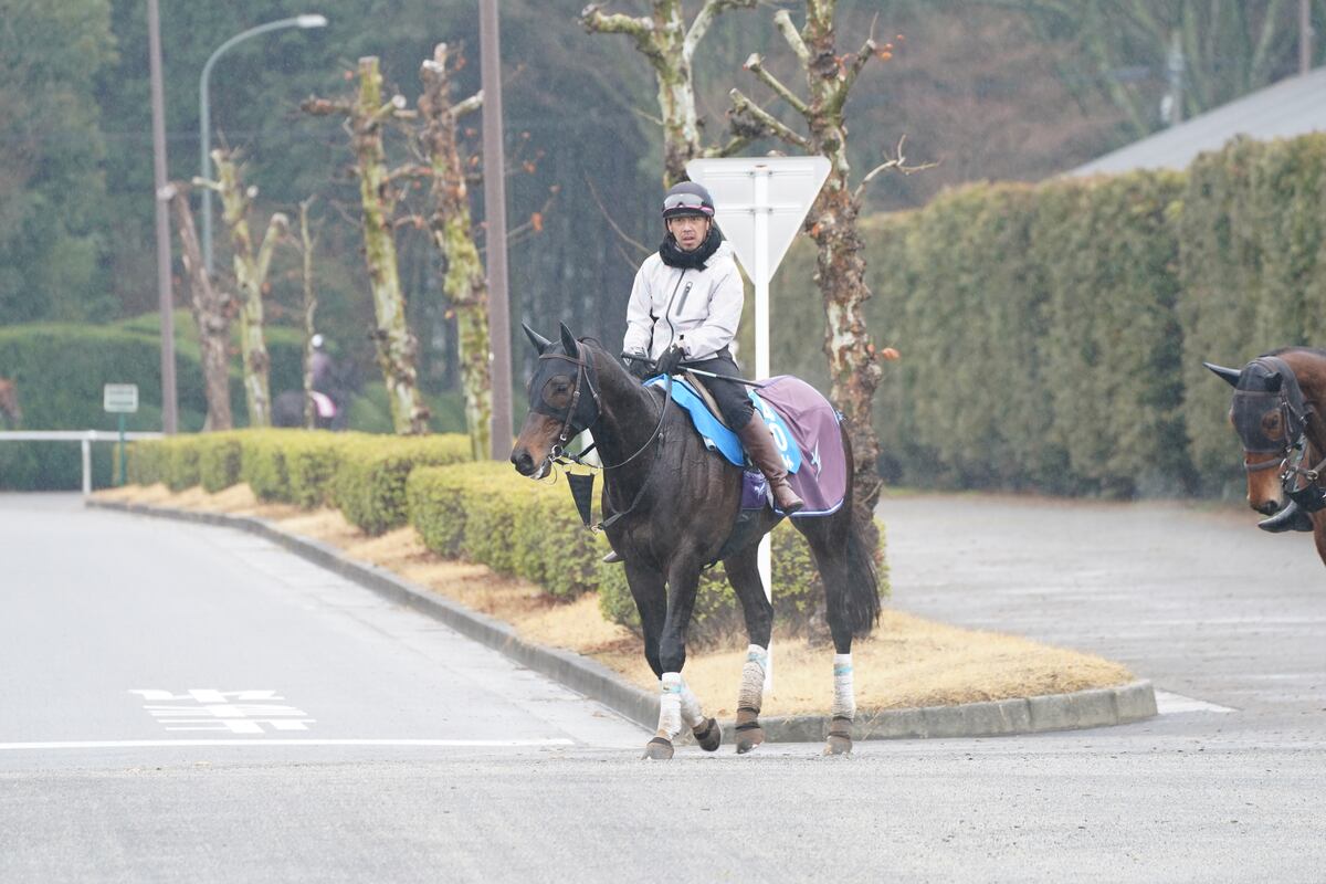 【金鯱賞】武豊騎手、デシエルトでサイレンススズカの大差逃げ再現だ　一日遅れの56歳誕生日祝う（サンケイスポーツ） - Yahoo!ニュース