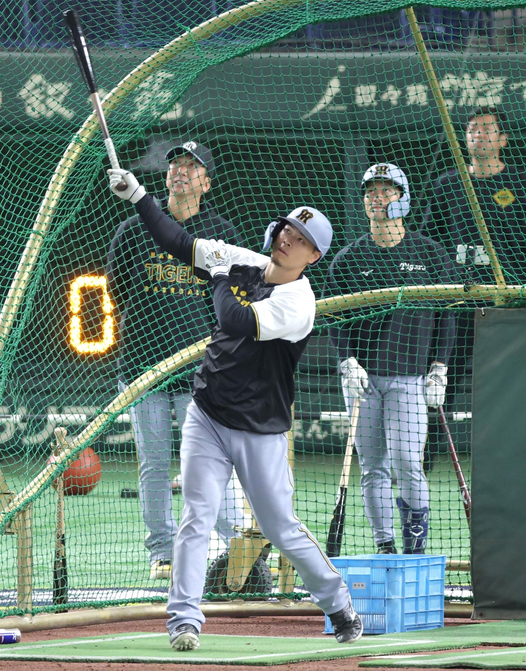 阪神・佐藤輝が右翼で守備練習 フリー打撃ではカブス選手の前で