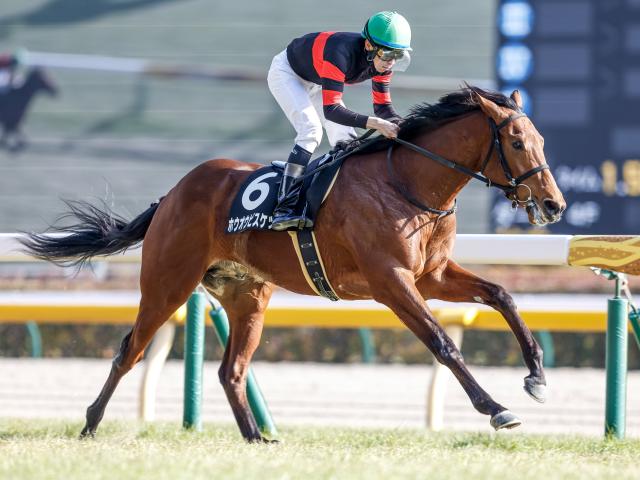 中京芝はパワー要する馬場 金鯱賞は先行馬2頭でいったいったの決着も（netkeiba） - Yahoo!ニュース