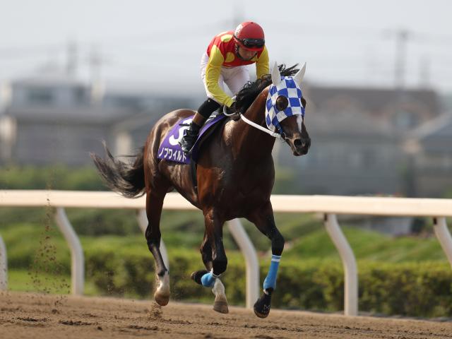 25年の新種牡馬たち】TUBE前田亘輝氏の愛馬ノブワイルド 産駒に