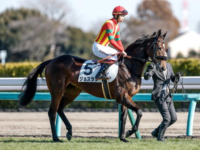 競馬 JRA 若き レープロ950115中山 アイリッシュダンス