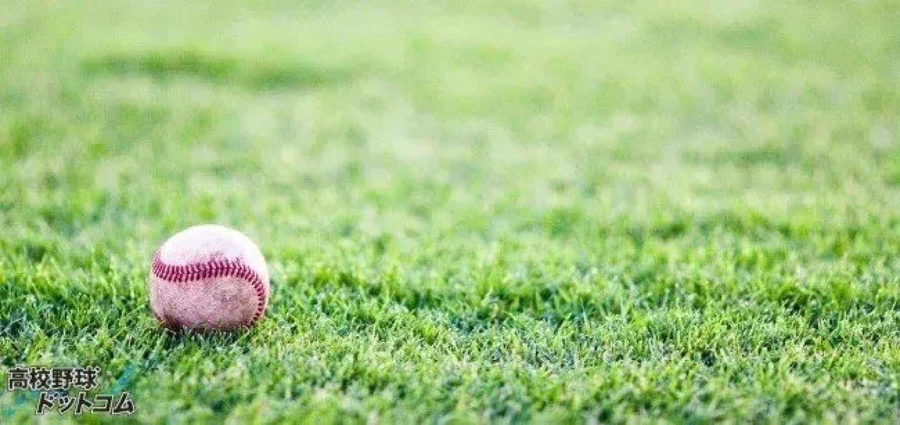秀岳館と鎮西がコールド発進！熊本県大会【25年春高校野球