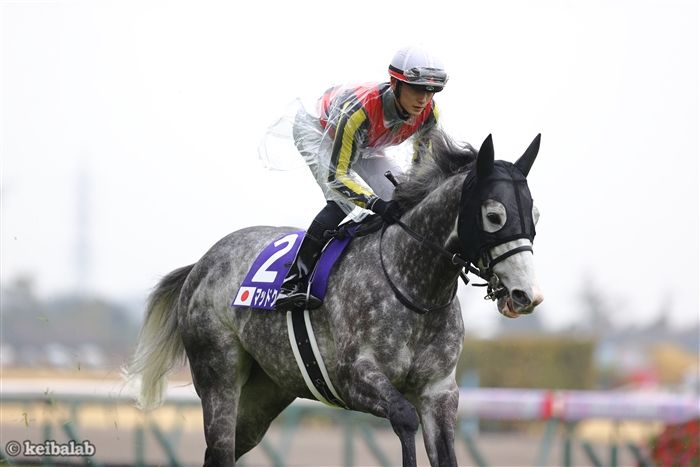 デュランダル　第３４回　高松宮記念 高松宮記念2025／出走登録馬】連覇狙うマッドクール、春秋V
