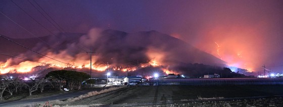 岡山県で発生した山火事の画像