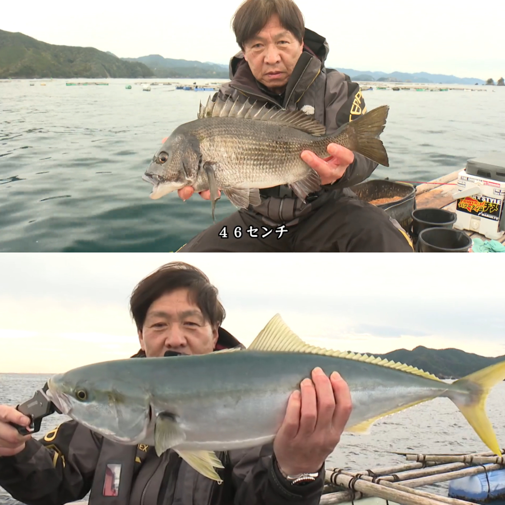 女性釣り師もハマる】かかり釣りのチヌ（クロダイ）攻略（釣り