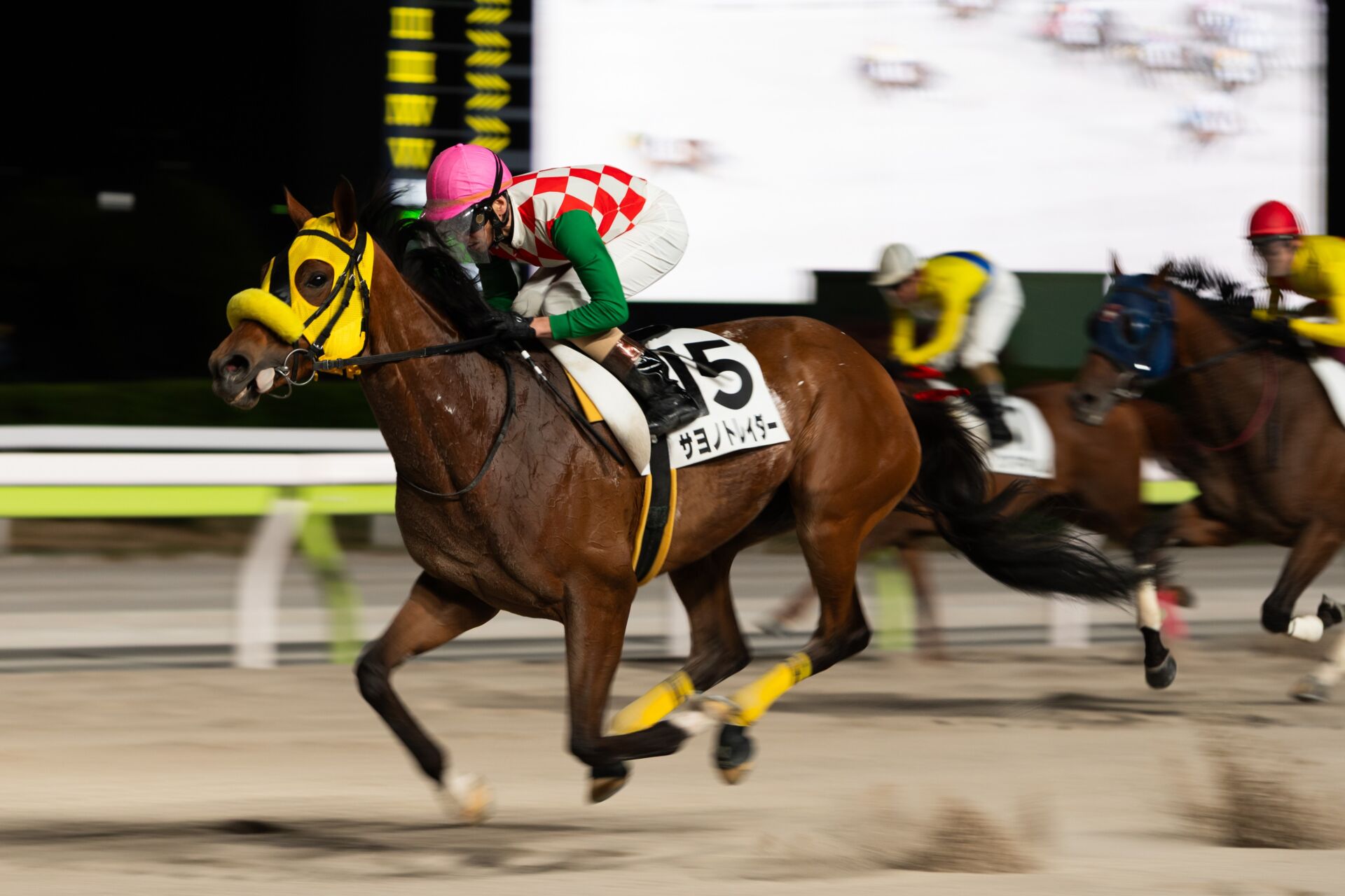 ワンピなど最旬ア！ 大井競馬所属 矢野貴之騎手 勝負服 コレクション